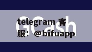 引领菲律宾支付新纪元：币付GCash——您的菲律宾代收代付专家