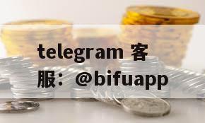 B pay D0代收付通道，稳定高效助力业务腾飞！